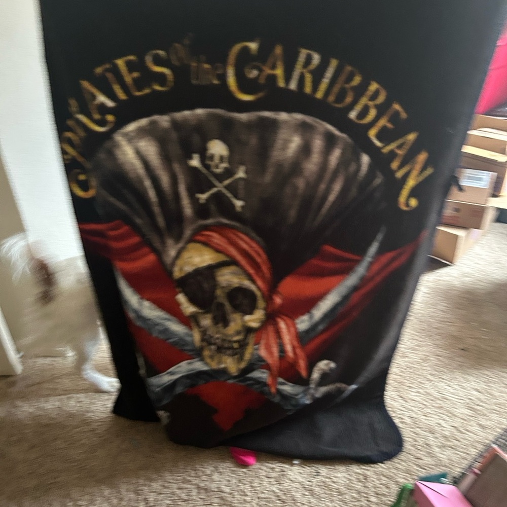 Disney Parks Pirates of the Caribbean Skull Throw Blanket